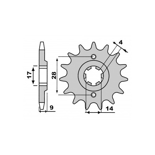 PBR 2289 Pignone in acciaio passo 428 denti 13
