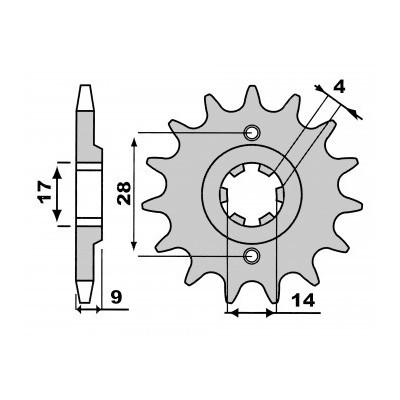 PBR 2289 Pignone in acciaio passo 428 denti 13