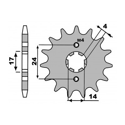 PBR 2153 Pignone in acciaio passo 420 denti 12