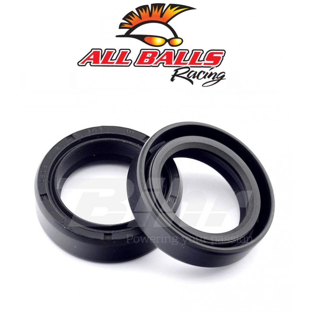 All Balls 55-119 Kit Paraoli Forcella 41x54x11