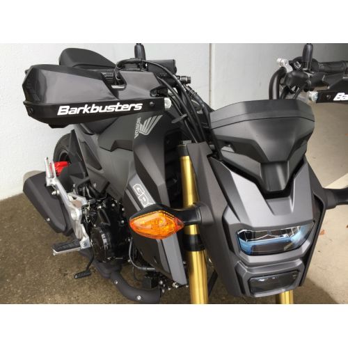 BARKBUSTERS Paramani BHG-063 - Due punti di aggancio per HONDA MSX 125 - KAWASAKI Z 125