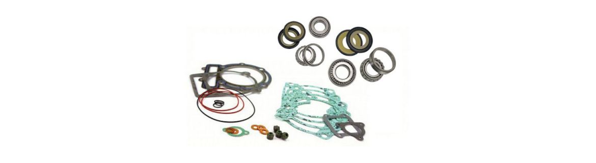 Vendita Guarnizioni, cuscinetti, calotte per Triumph BONNEVILLE 865