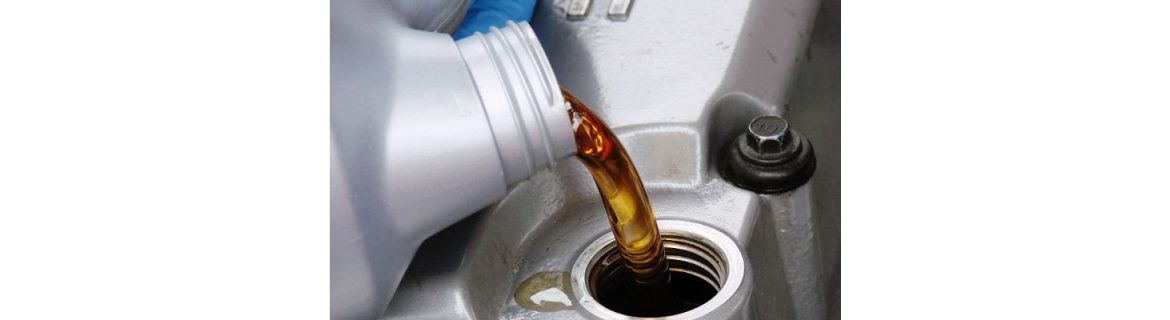 Vendita Olio Motore per Honda MSX 125