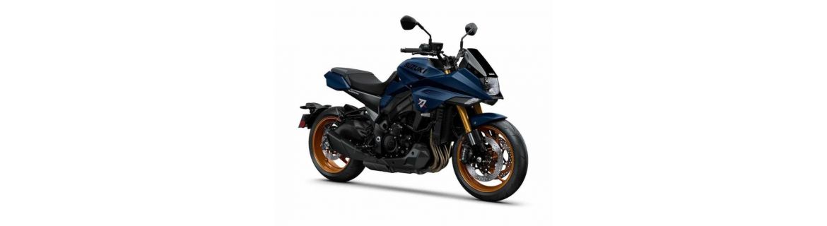 Vendita Accessori e Ricambi per SUZUKI KATANA 1000