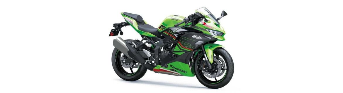 Vendita Accessori e ricambi per Kawasaki NINJA ZX-4R - ZX4RR 