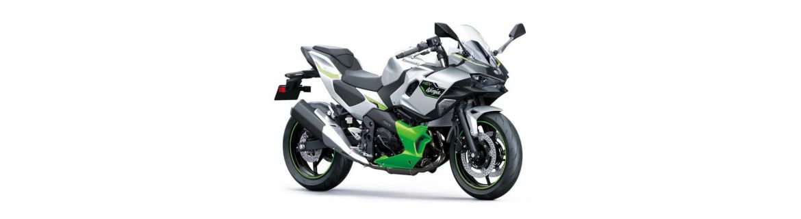 Vendita Accessori e Ricambi per Kawasaki NINJA 7 HYBRID