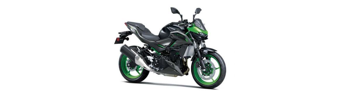 Vendita Accessori e Ricambi per Kawasaki Z 500