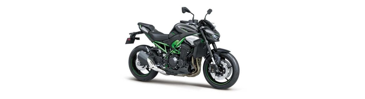 Vendita Accessori e Ricambi per Kawasaki Z 900 2025