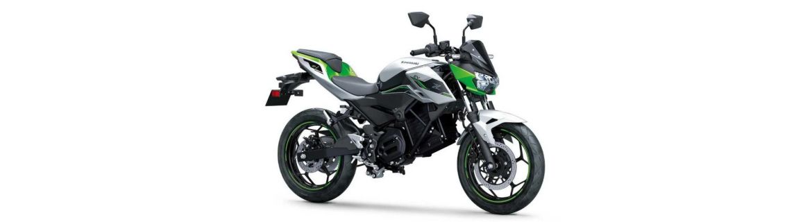 Vendita Accessori e Ricambi per Kawasaki Z e-1 2024