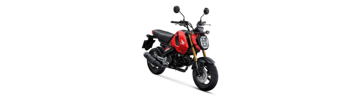 Vendita Accessori e ricambi per Honda MSX 125 2013 / 2024