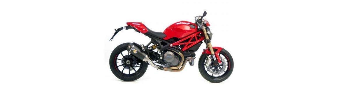 Vendita Accessori e Ricambi per DUCATI MONSTER 1100 / EVO 2009 / 2013